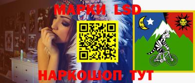 гидропоника Пушкино