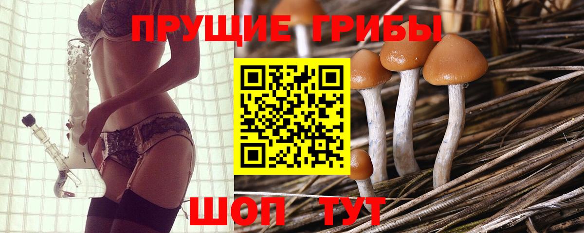 Пугачёв  Галлюциногенные грибы мухоморы  Псилоцибиновые грибы Psilocybe  Вход с VPN 